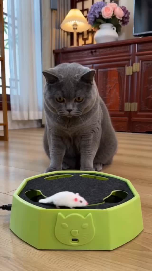 Interactive Pop-Up Mouse Self-Play Cat Toy