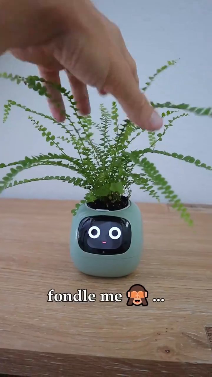 Smart Plant Pot with Interactive Digital Face