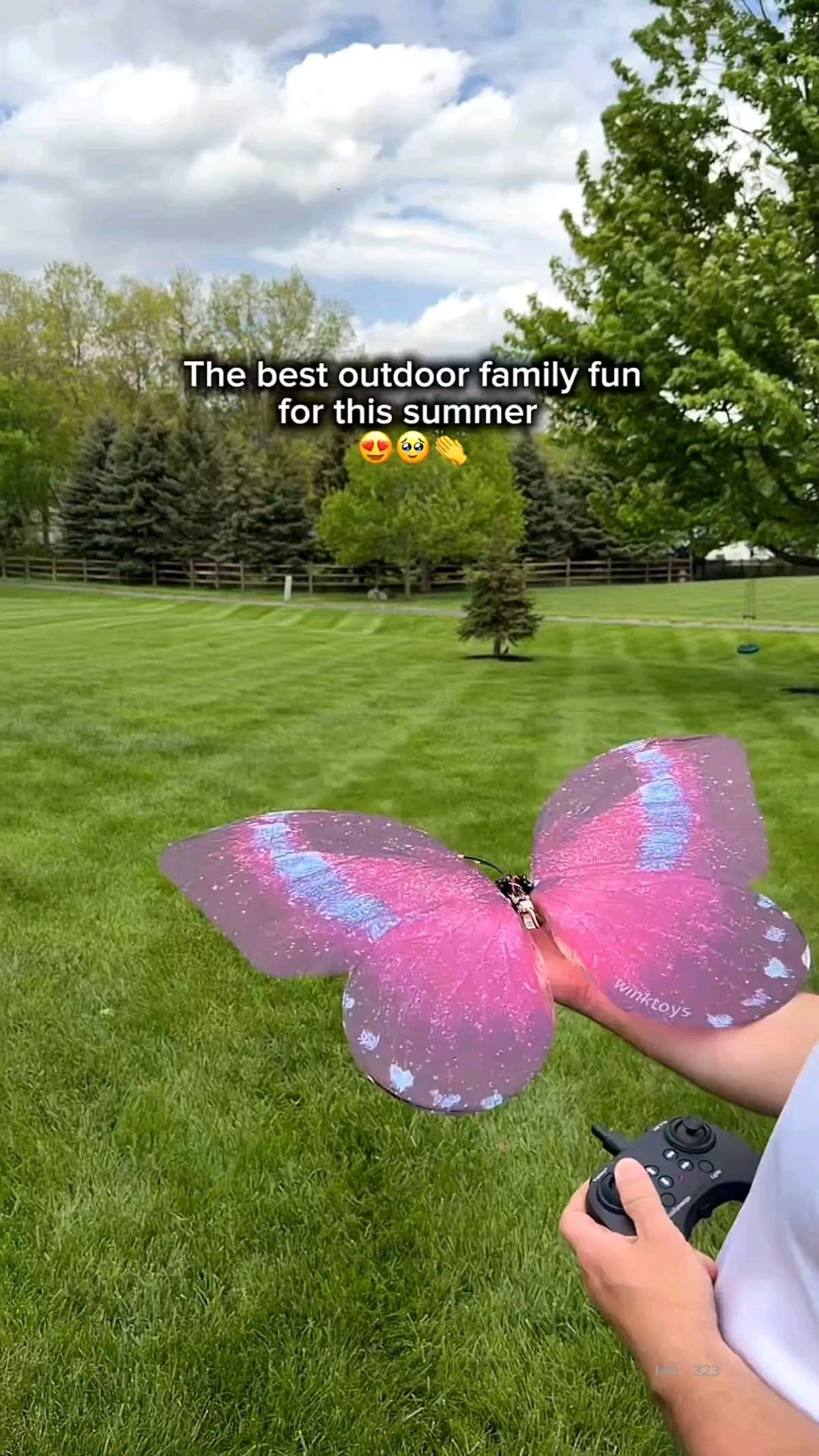 WinkToys Bionic Flying Butterfly RC Toy