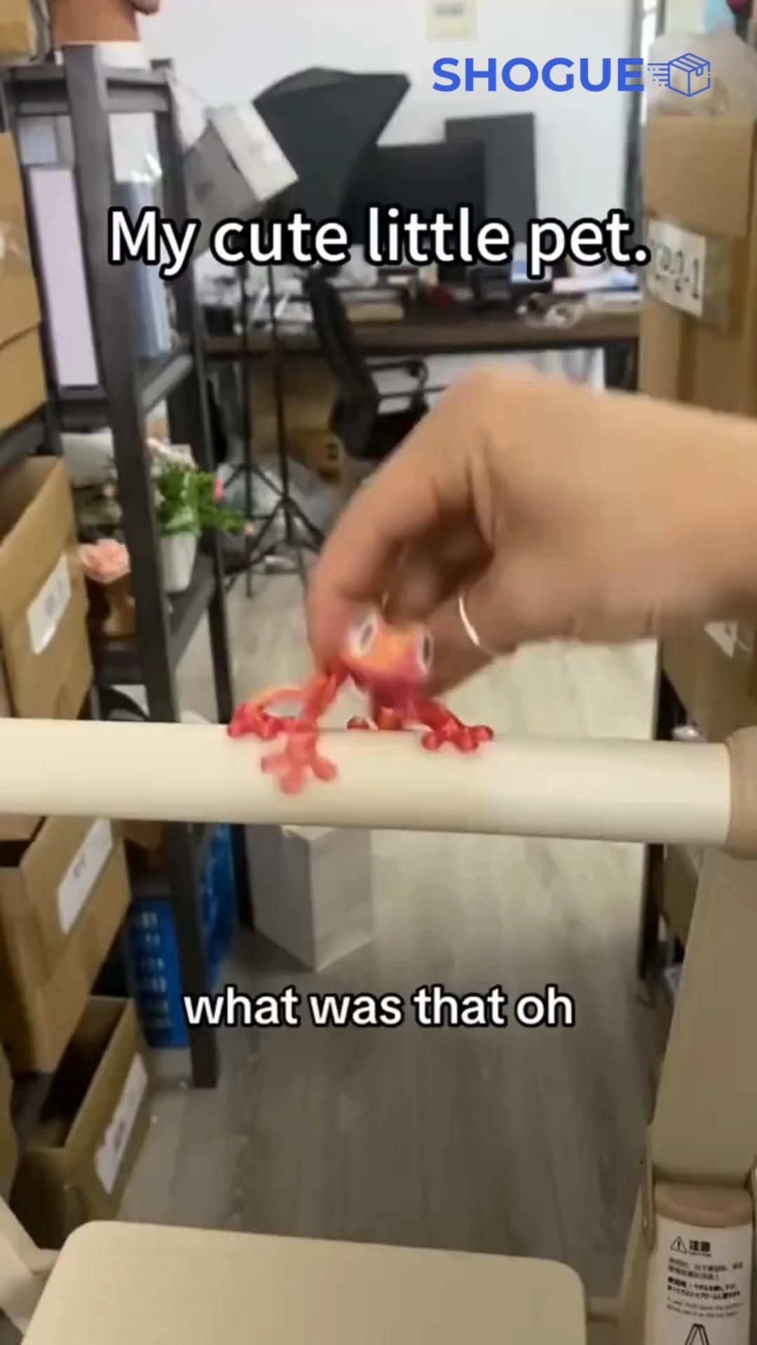 SHOGUE Articulated Magnetic Tree Frog Toy