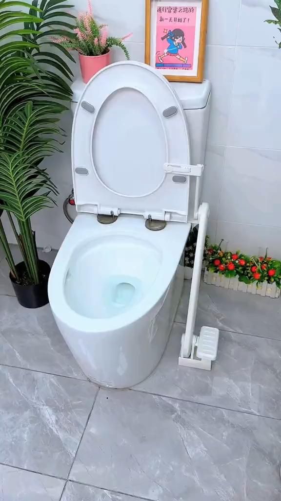 Foot Pedal Toilet Seat Lifter
