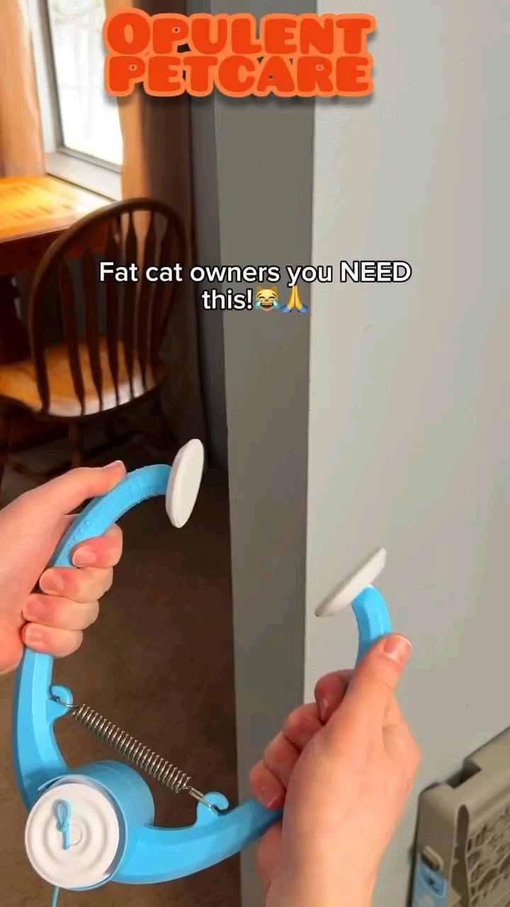 PETTOM Door Hanging Automatic Cat Toy