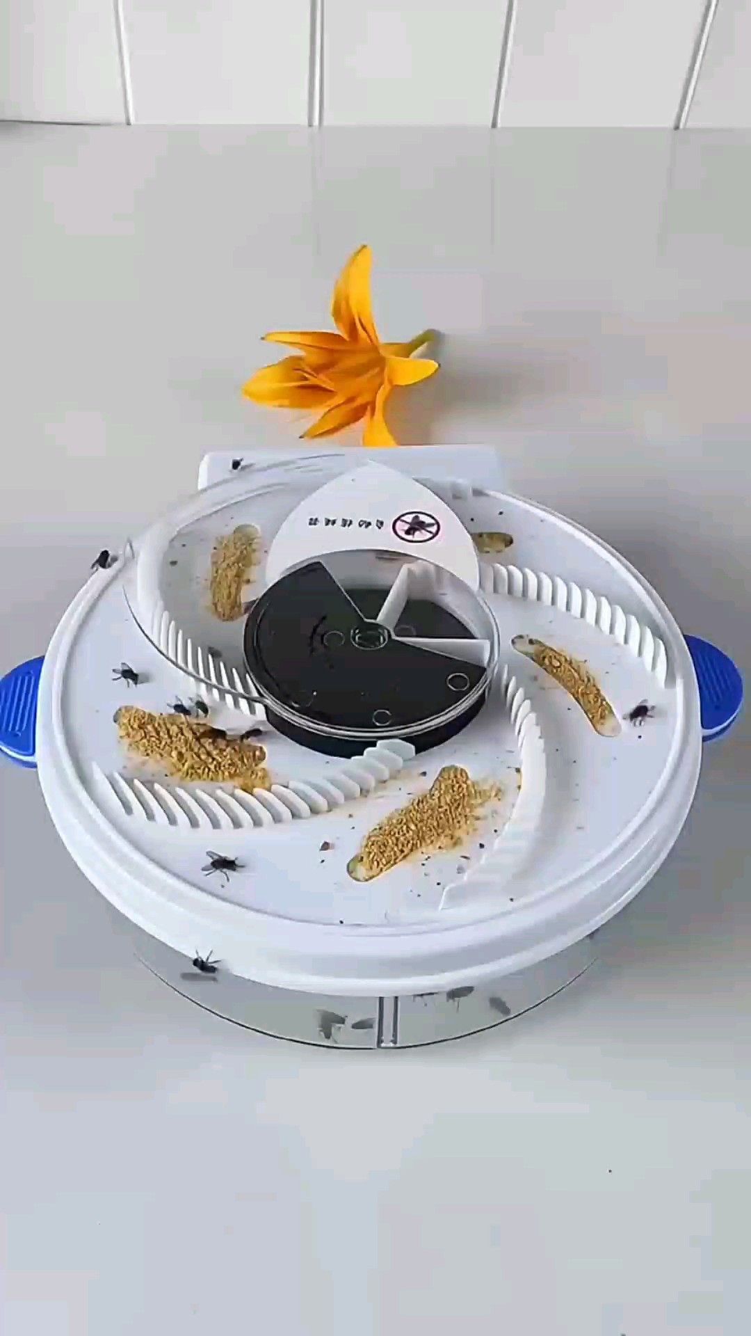 Automatic Rotating Electric Fly Trap