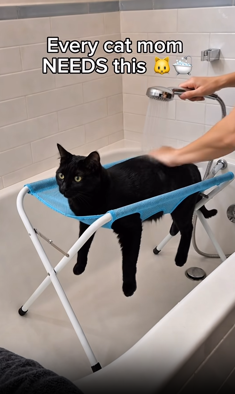 PawBath Foldable Mesh Pet Bathing Hammock Stand