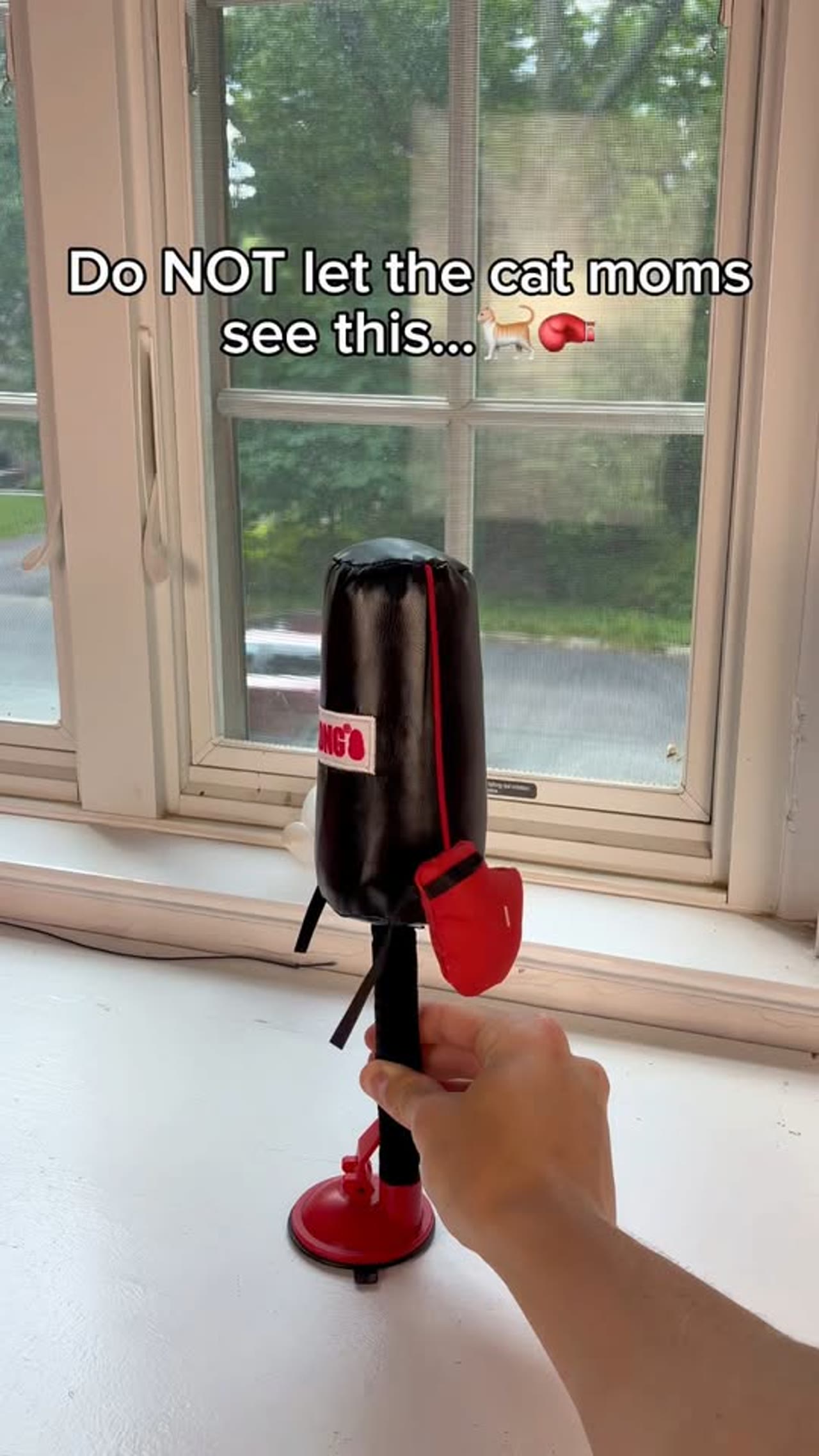 KONG Connects Punching Bag For Cat Toy