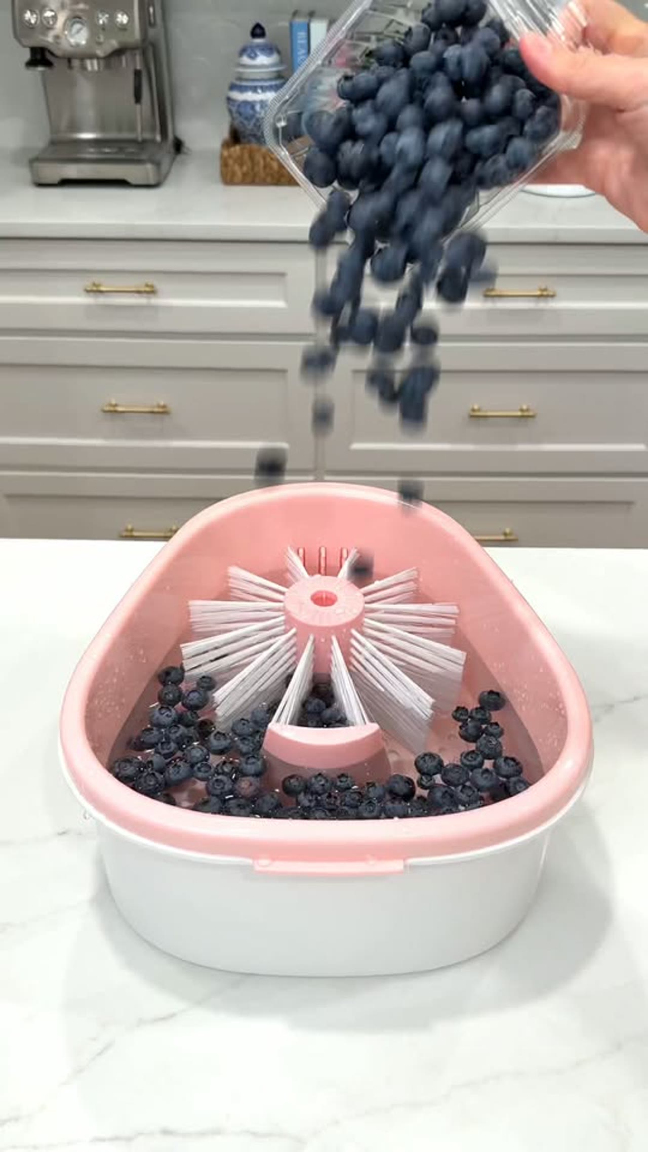 JOYMOOP Joyloop Vortex Fruit Washer Spinner