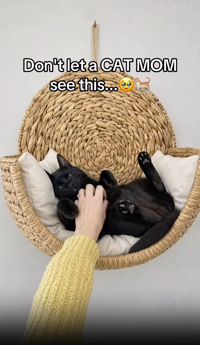 Generic Wall-Mounted Wicker Cat Hammock Bed