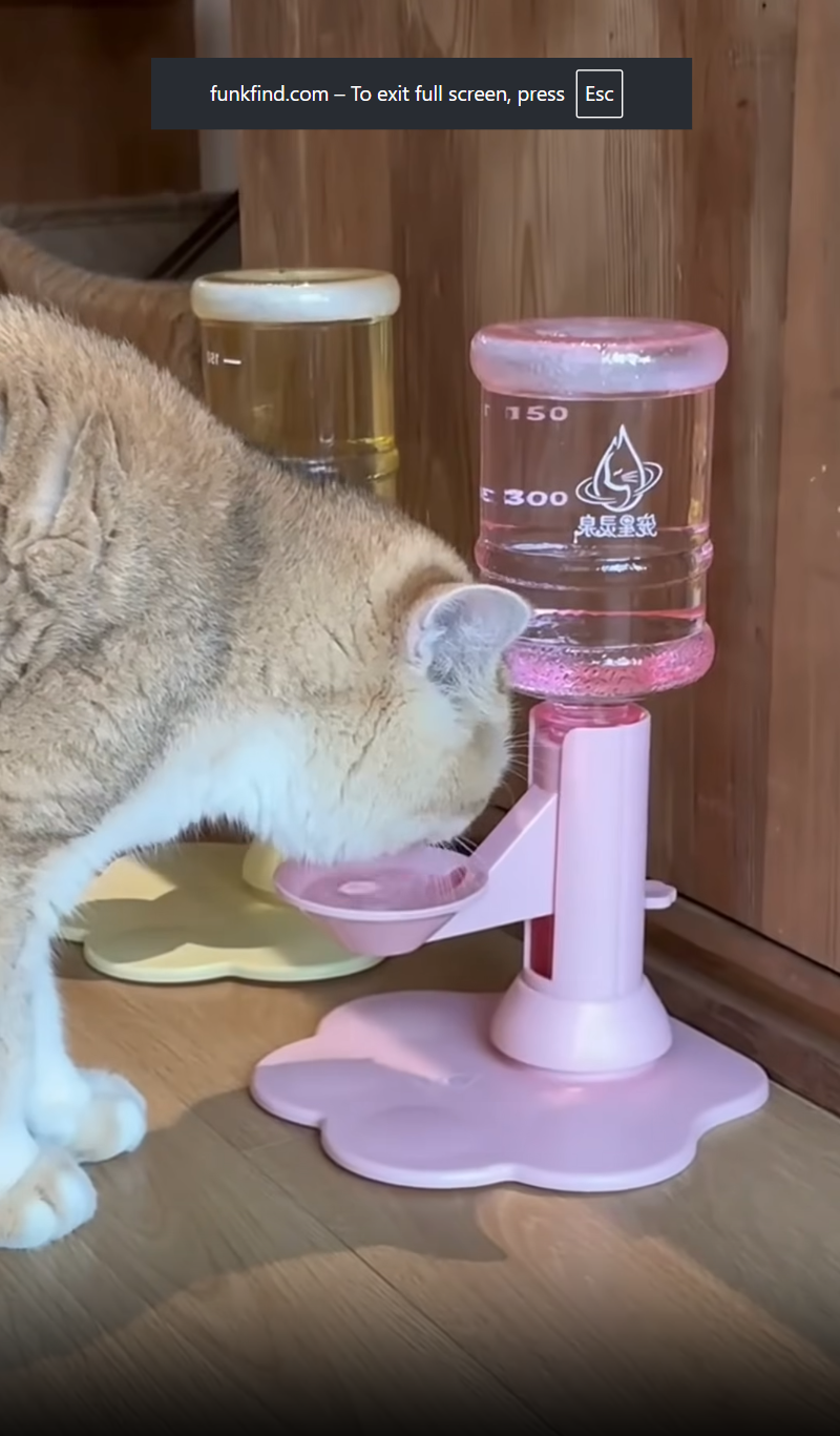 Nio Pets Gravity Refill Elevated Water Dispenser