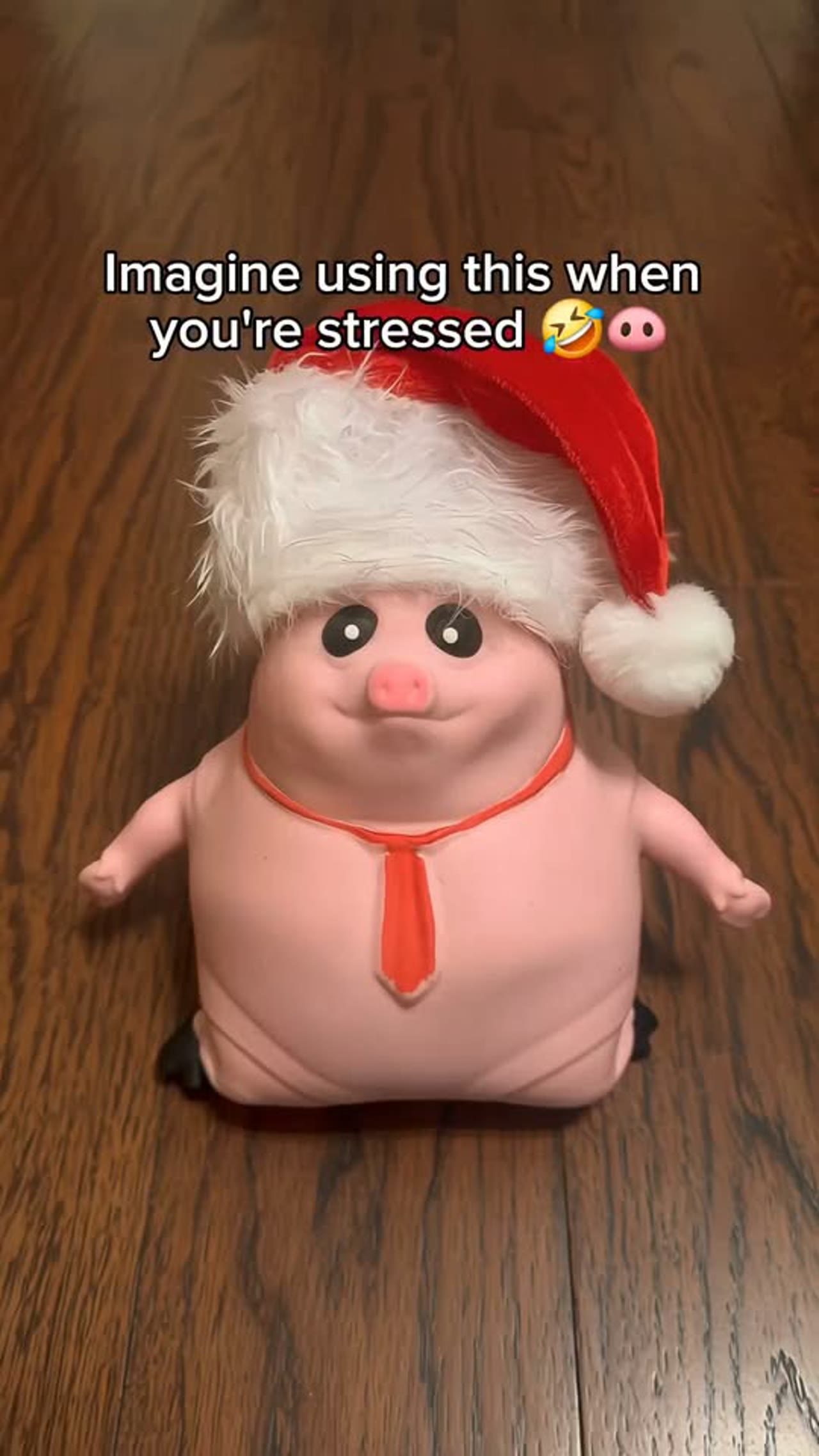 Anjumara Unbreakable Pig Stress Relief Squeeze Toy
