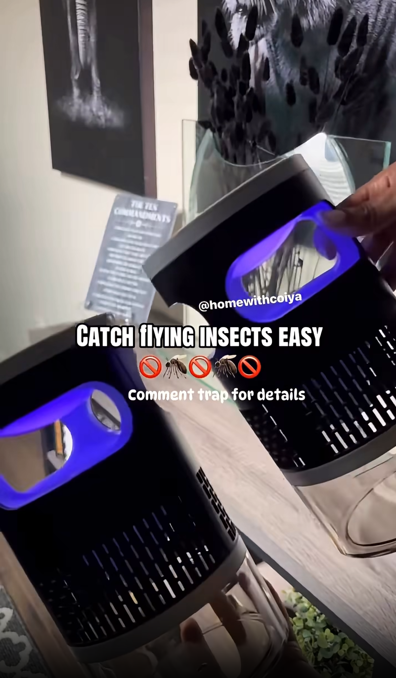 ZJTMJN Brushless Motor UV Fruit Fly Trap