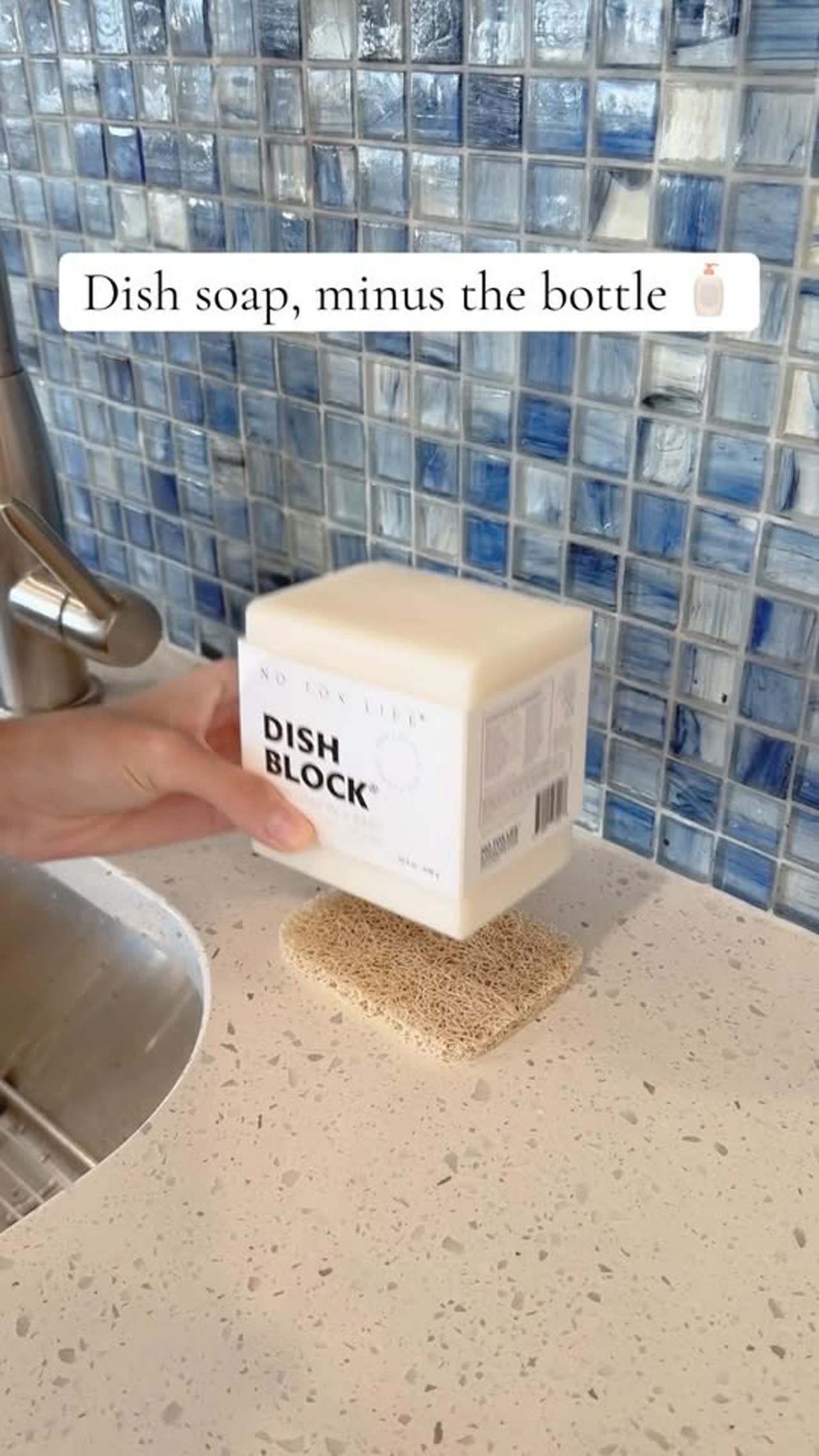 No Tox Life DISH BLOCK Fragrance-Free Dish Soap
